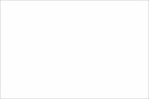 Meet your Posher, Evan